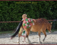 1-13JUIN 0884